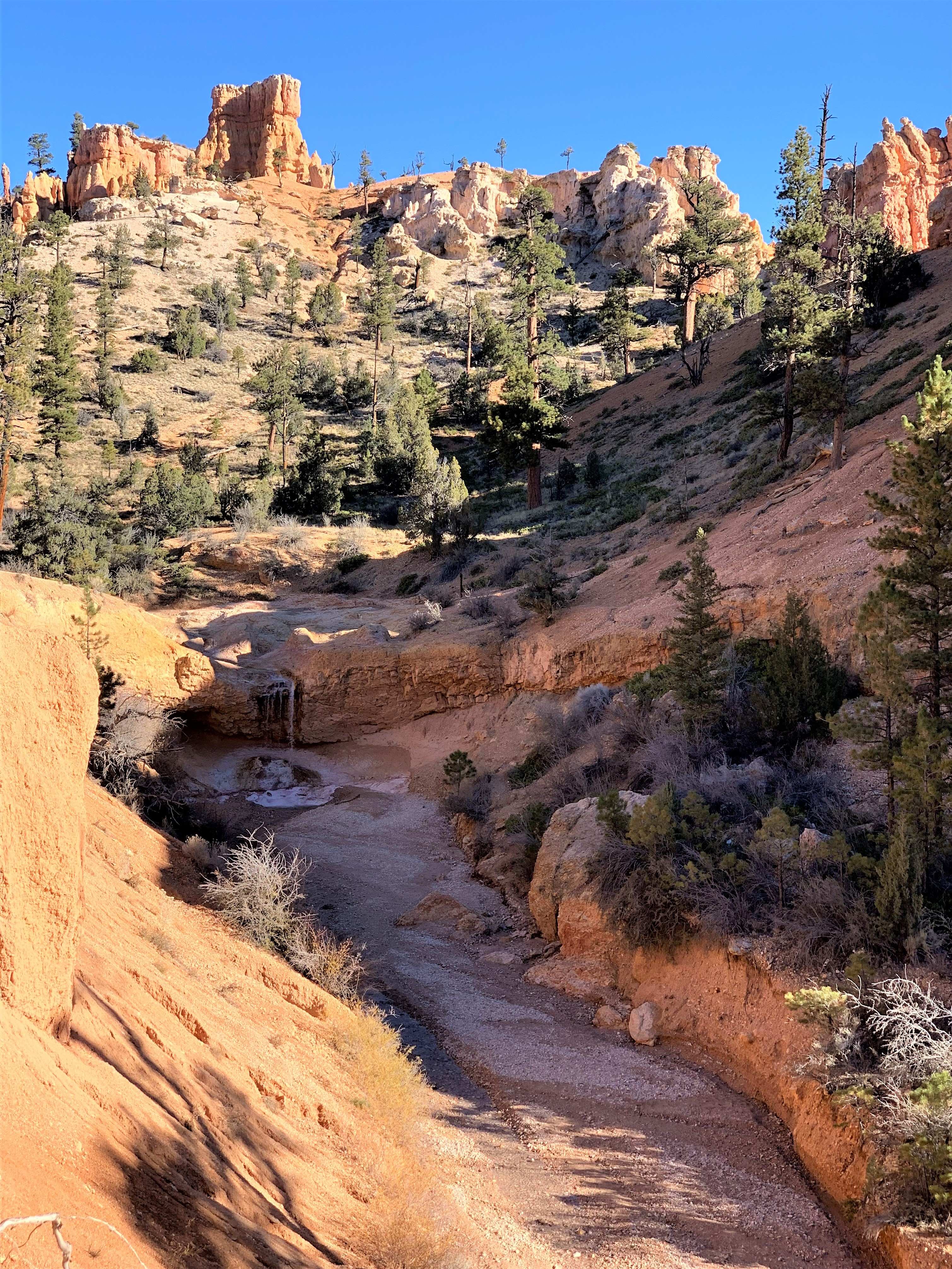 Bryce Canyon NP